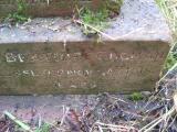 image of grave number 443881